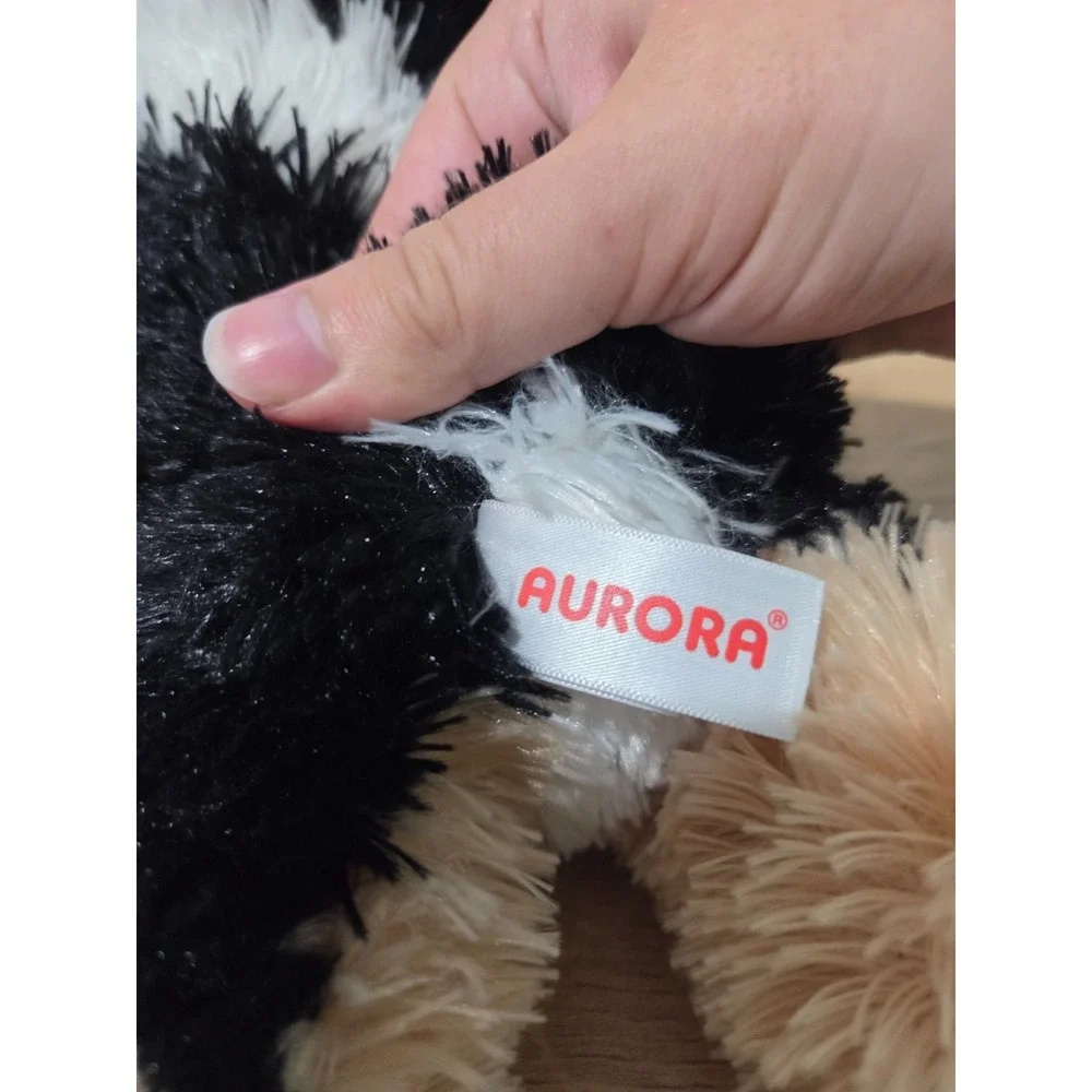 Aurora pair 11
